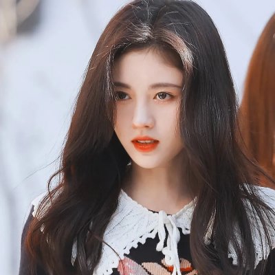 聪明的鸭子