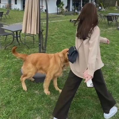 爱就在你身边